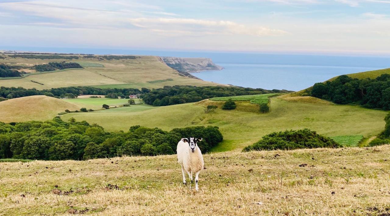 Apartmán The Lookout Swanage Exteriér fotografie